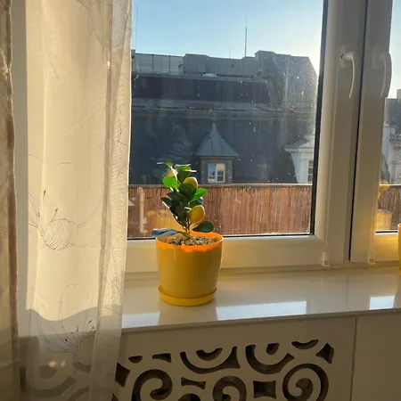 Daire Nowowiejskiego Premium - Centrum Poznan