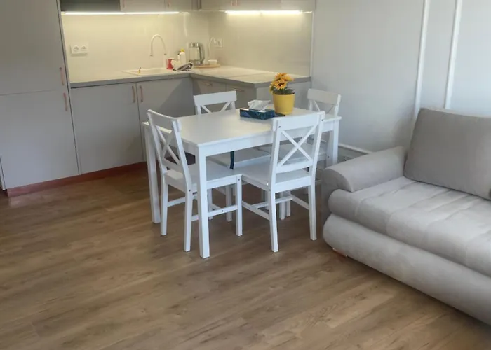 Nowowiejskiego Premium - Centrum Poznan