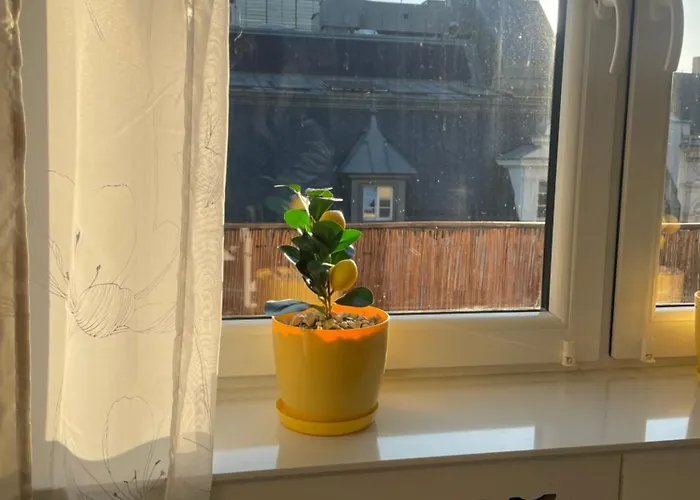 Apartmán Nowowiejskiego Premium - Centrum Poznaň